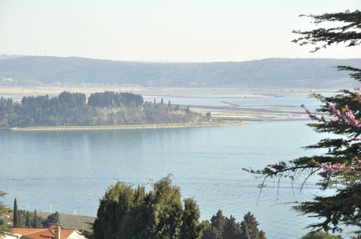בפורטורוז Bbp Apartment מראה חיצוני תמונה